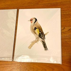 NWT Ikea Bird Wall Art - BILD